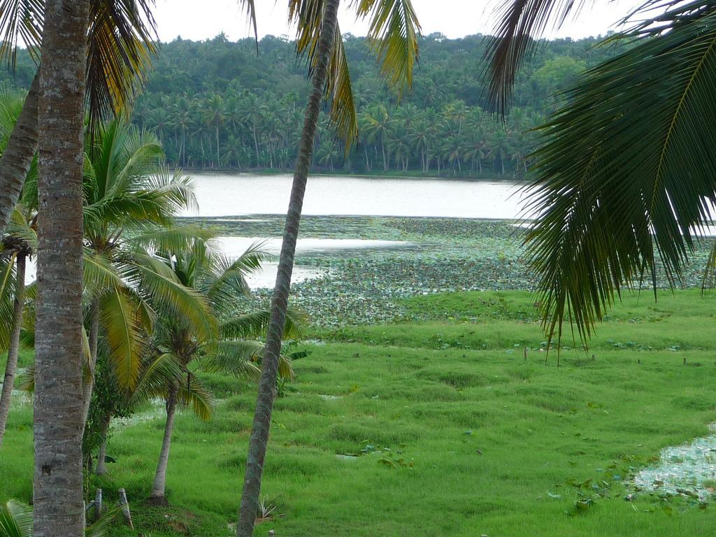 Ganesh Ayurveda Holiday Home Bed And Breakfast Kovalam Exterior foto