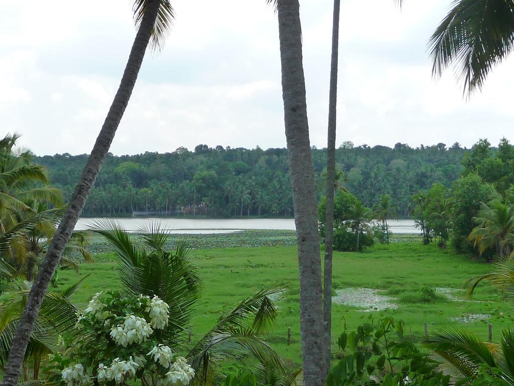 Ganesh Ayurveda Holiday Home Bed And Breakfast Kovalam Exterior foto